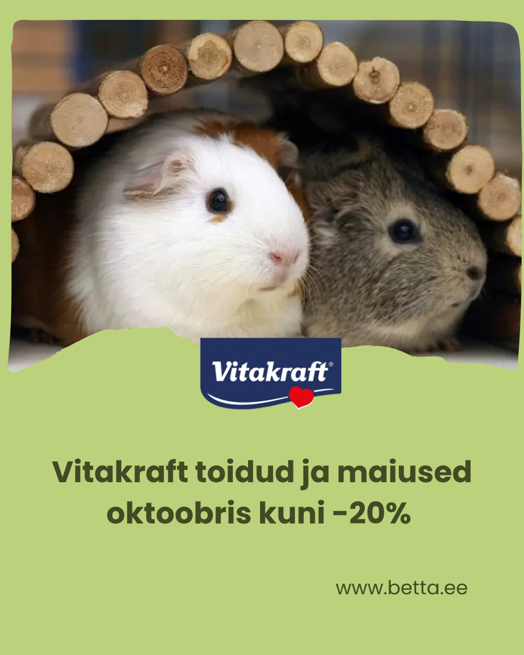 Betta oktoobri pakkumine.png